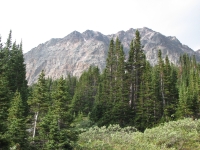 Jonas Pass Trail